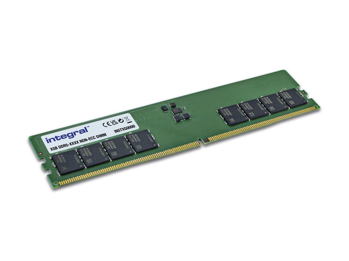 Integral Memory IN5T32GNJRDX