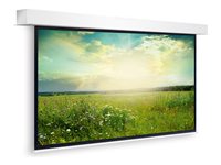 Da-Lite Descender Large Electrol projection screen - 204" (518 cm)