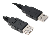 Axiom - USB extension cable - USB (M) to USB (F) - USB 2.0 