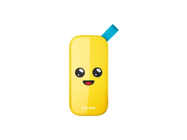 SanDisk Fortnite