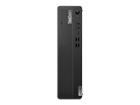 Lenovo ThinkCentre 11TX0005FR