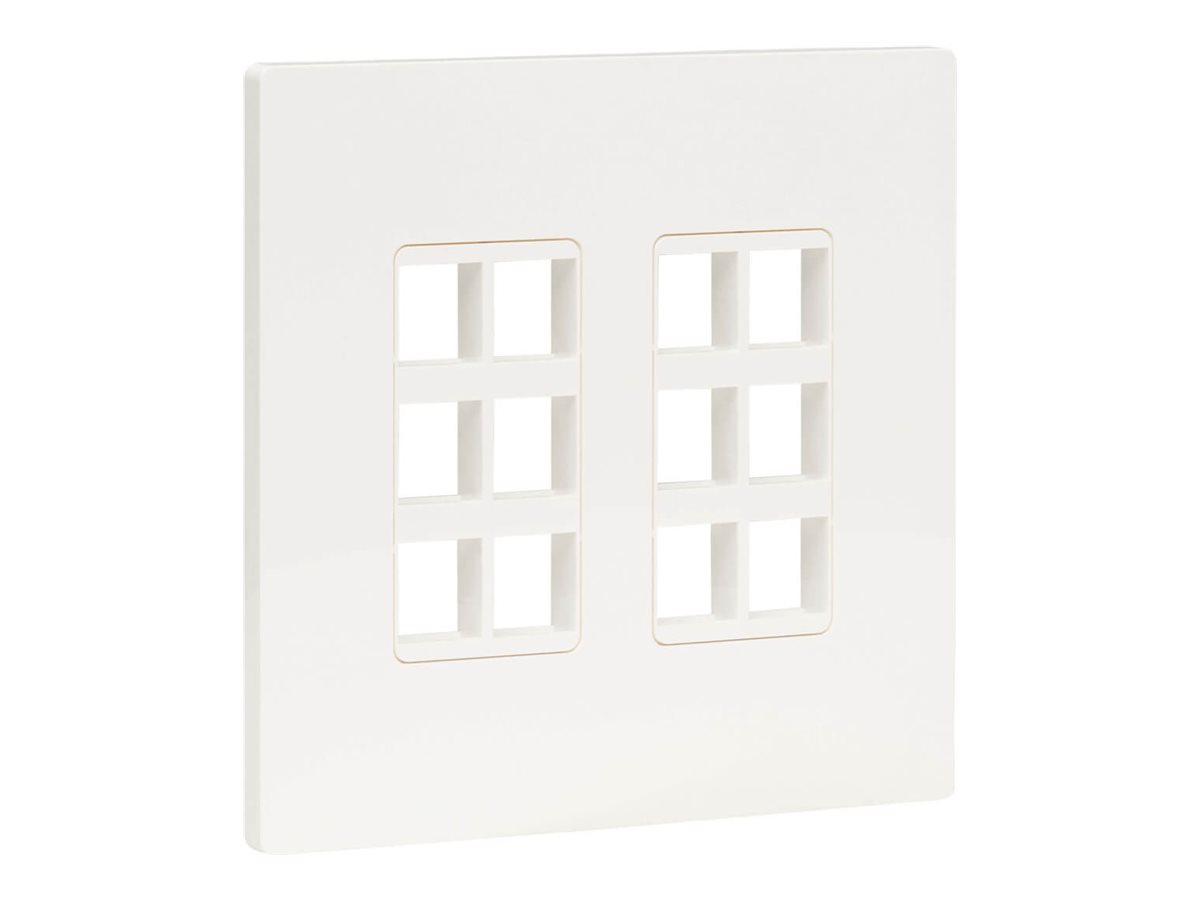 Eaton Tripp Lite Series 12-Port Double-Gang Universal Keystone Wall Plate, Cat5e/6/6a, USB, HDMI, DisplayPort, White, TAA