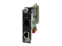 Perle eX-1CM110-RJ - Short-haul modem