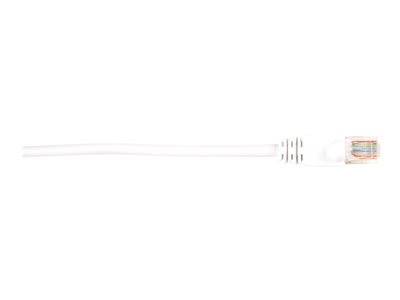 Black Box - Patch cable
