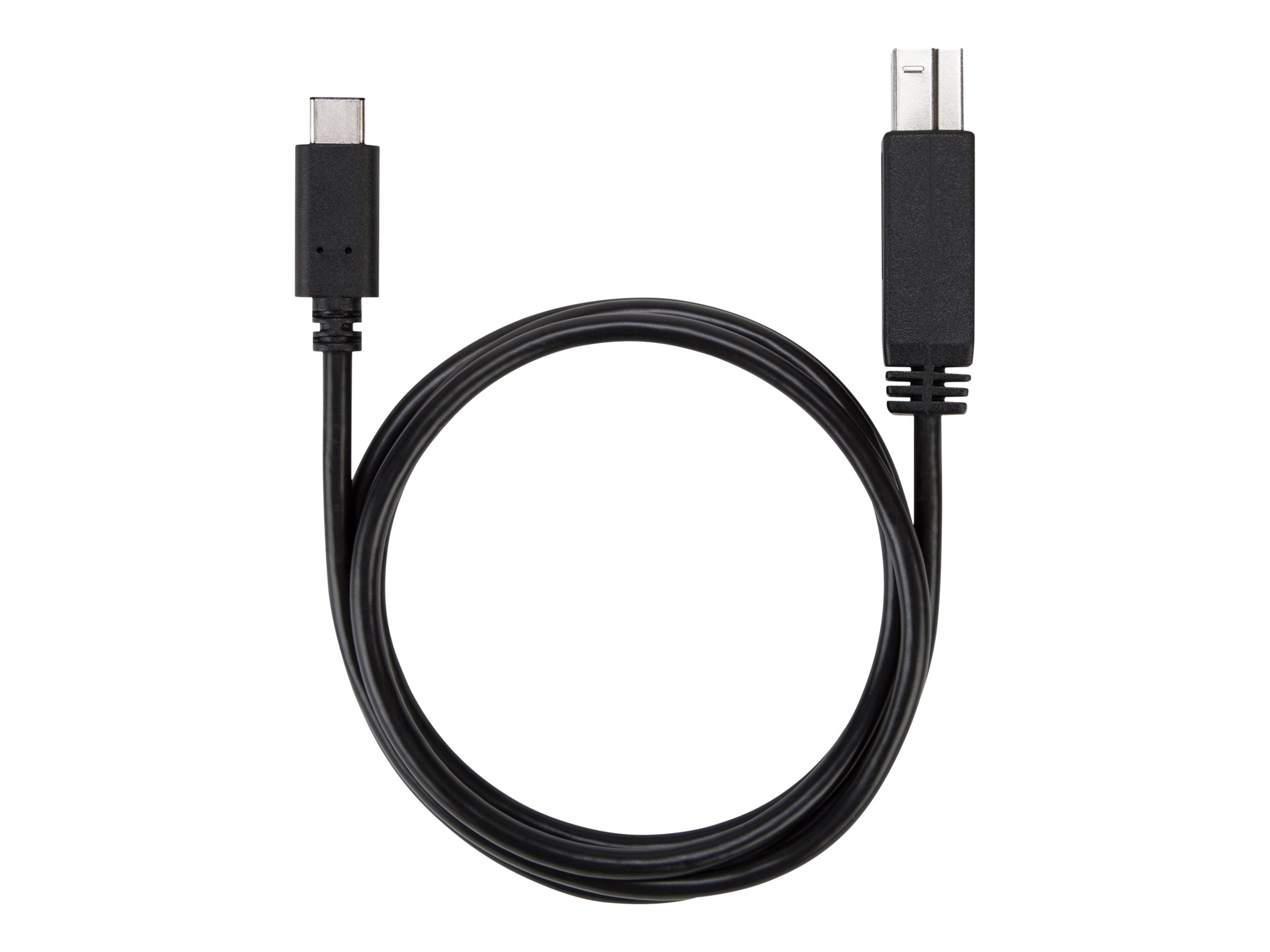 Targus - USB cable - USB-C (M) to USB Type B (M)