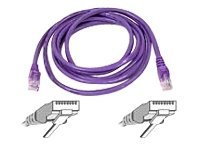 Belkin - Patch cable