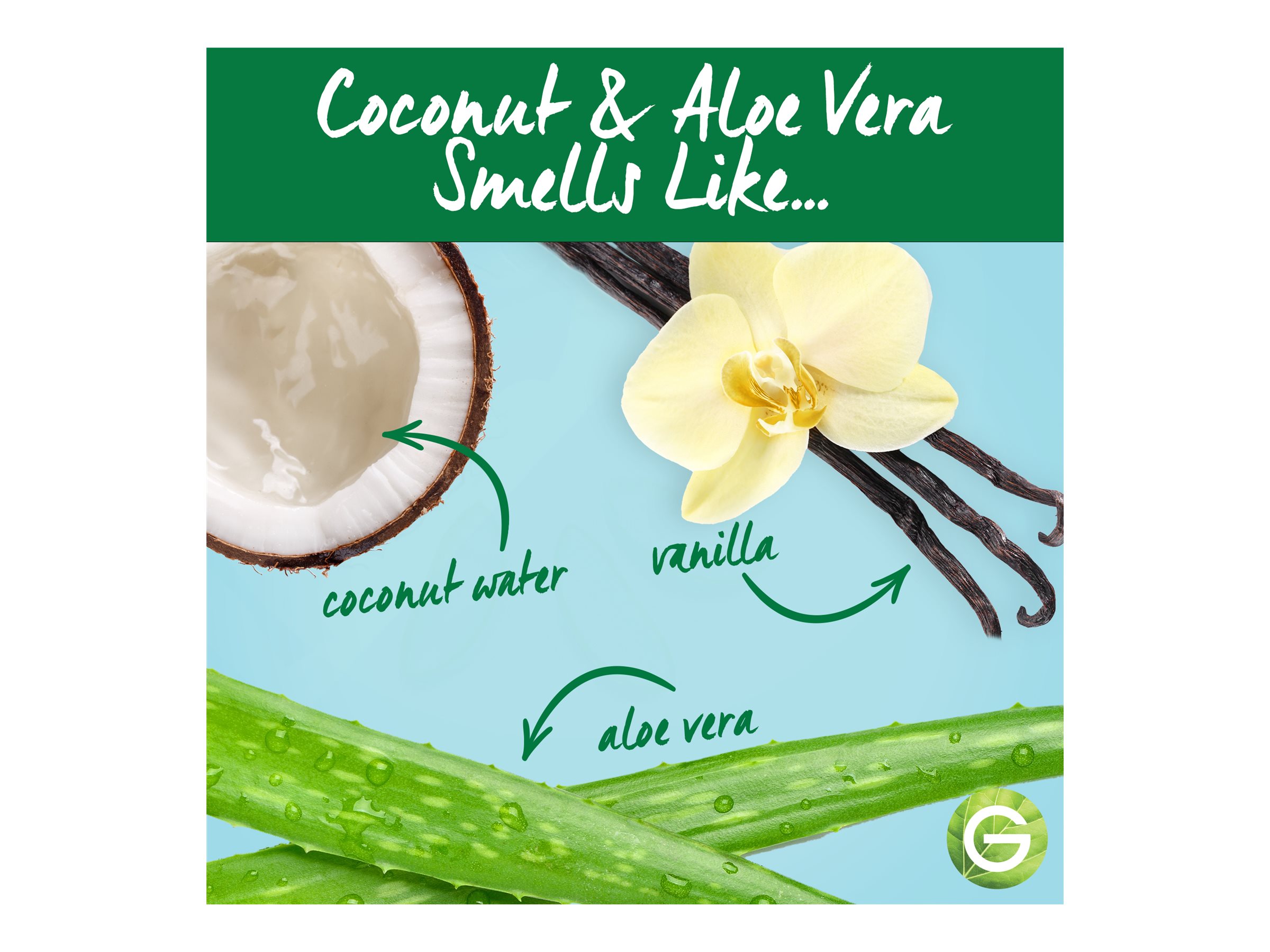 Garnier Whole Blends Shampoo Bar - Coconut and Organic Aloe Vera - 60g