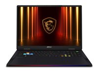 MSI Raider 9S7-182462-403