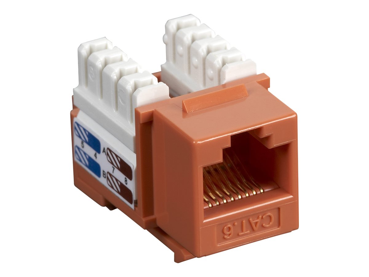 Black Box Value Line CAT6