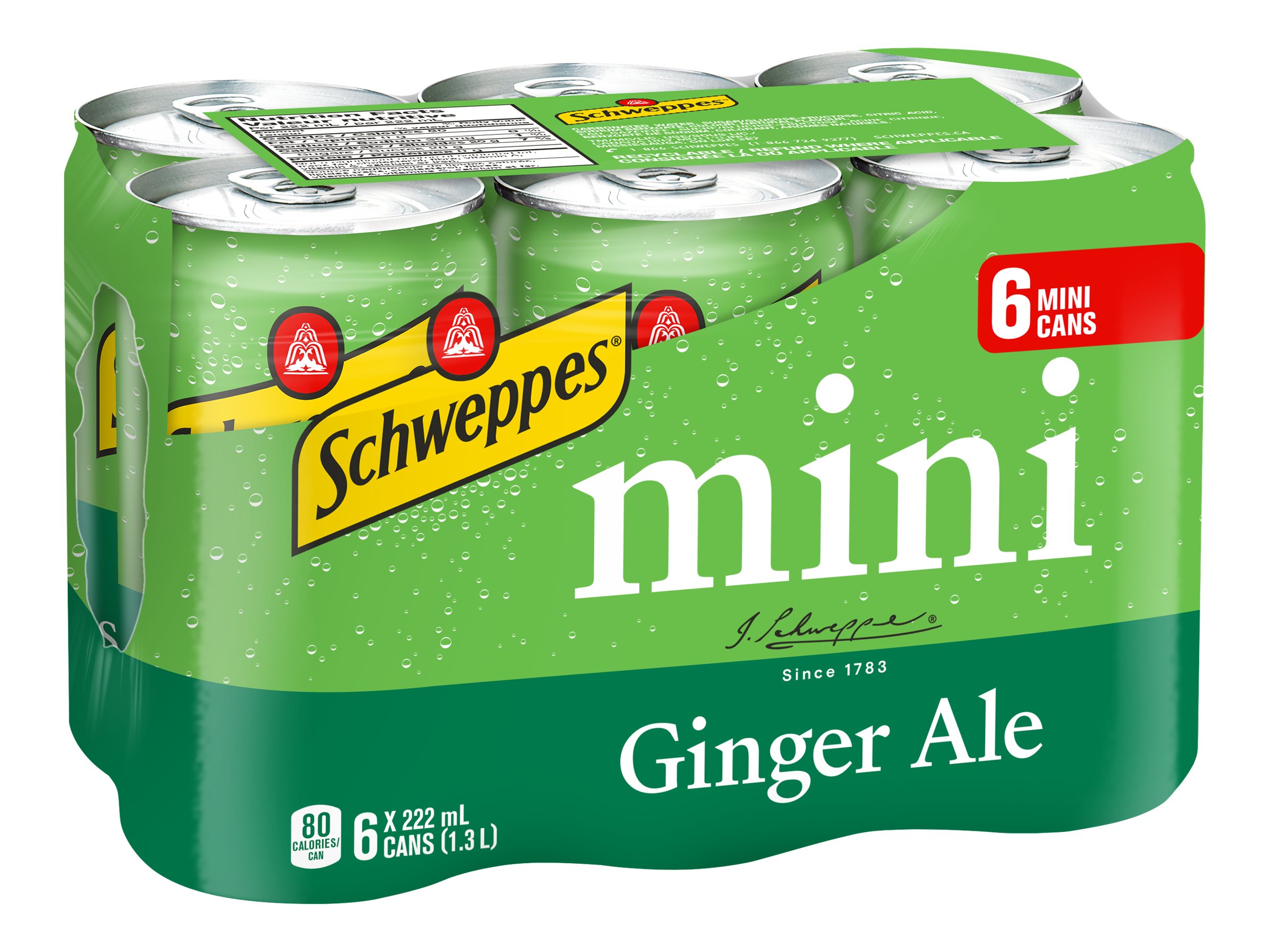 Schweppes Ginger Ale - 6x222ml