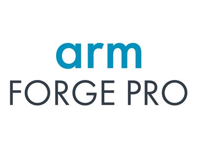 ARM Forge Professional - Floating Subscription License (1 year) - 64 processes, 1 architecture