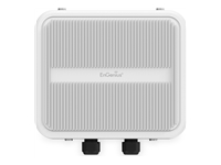 EnGenius - Borne d'accès sans fil - 2x2, outdoor, N-type connectors - 2 ports 
