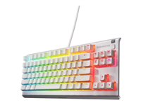 SteelSeries Apex 3 Keyboard TKL with media wheel backlit USB QWERTY US English 