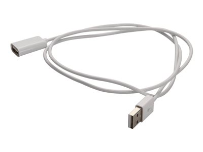 AddOn - USB cable - USB Type B (M) to USB (M)