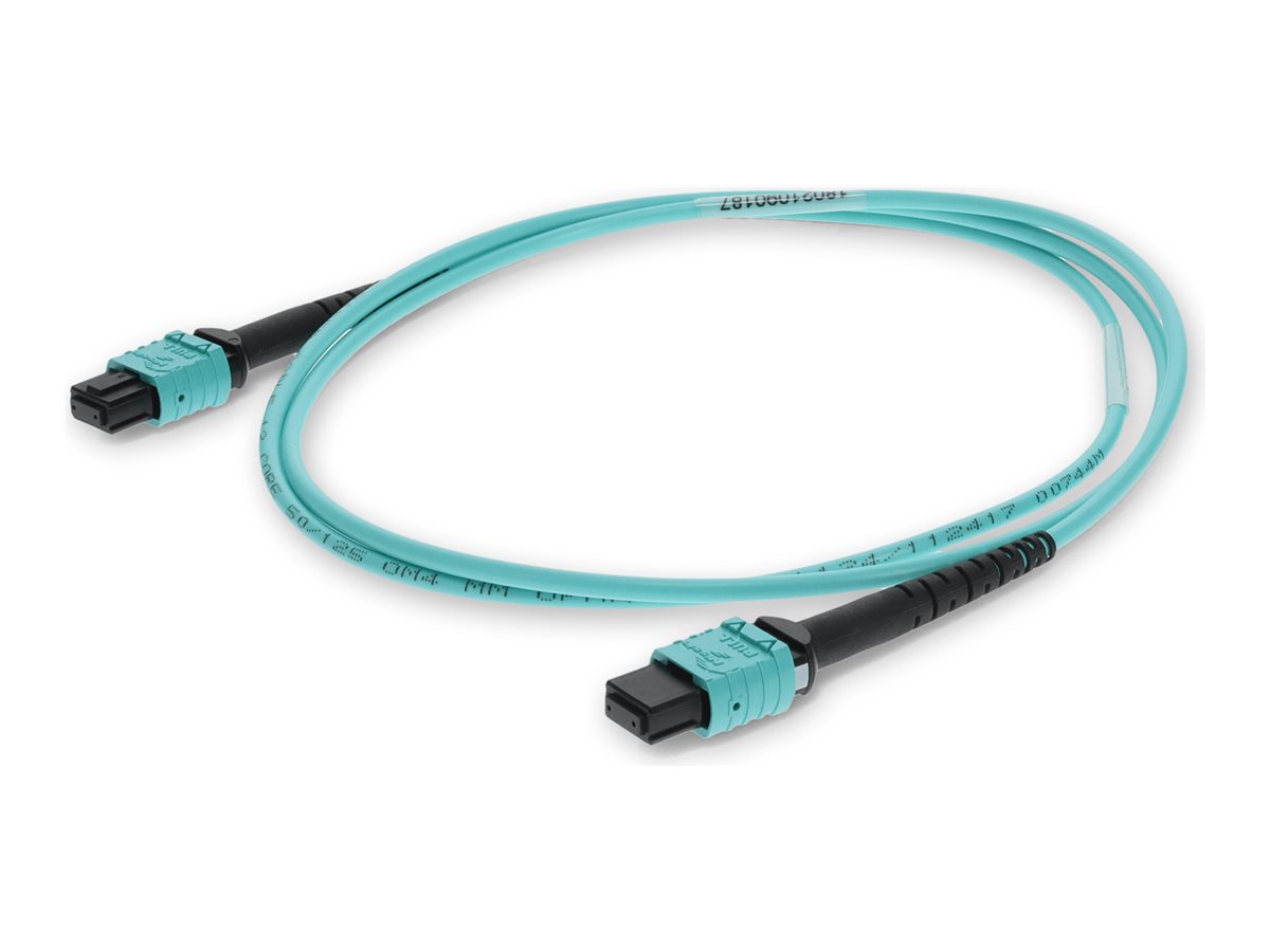 AddOn - Patch cable - MPO/PC multi-mode (F) to MPO/PC multi-mode (F)