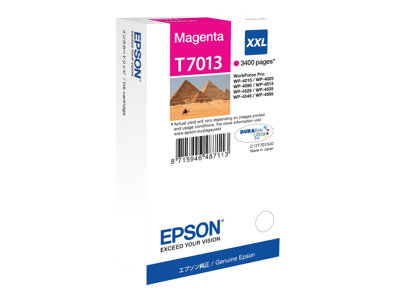 EPSON C13T70134010, Verbrauchsmaterialien - Tinte Tinten  (BILD2)