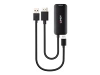 Lindy video adapter kit - 20 cm