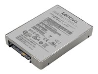 Lenovo HUSMM32 Enterprise Performance - SSD - 800 GB - SAS 12Gb/s