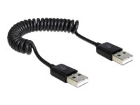 DeLOCK USB 2.0 USB-kabel 60cm Sort