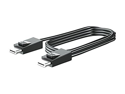 HP 300cm DP+USB B-A CABLES