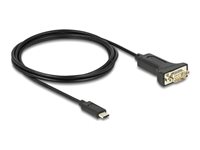 Delock Adapter USB Type-C™ to 1 x Serial RS-232 D-Sub 9 pin male with nuts 2 m