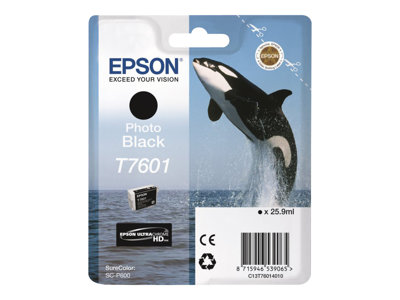 EPSON Tinte T7601 Photo Black - C13T76014010
