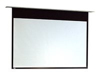 Draper Access E NTSC 4:3 Projection screen ceiling mountable motorized 110 V 