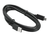 Zebra USB Type-C kabel Sort