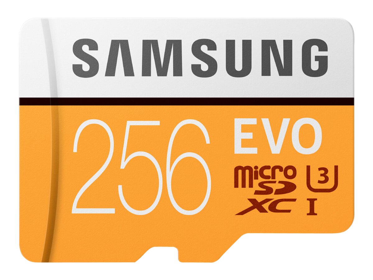 Samsung EVO MB-MP256HA