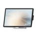 MicroTouch DT-215P-B2