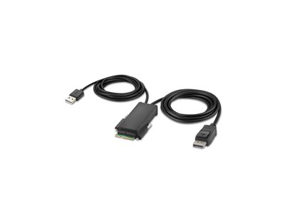 Belkin Secure Modular DP Single Head Host Cable