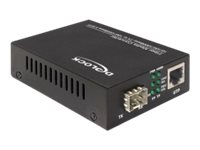 DeLOCK Delock Media Converter  Base-T to 100 Base-X SFP Fibermedieomformer Ethernet Fast Ethernet Gigabit Ethernet