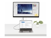 StarTech 1.6ft (50cm) Thunderbolt 4 Cable, 40Gbps, 100W Power Delivery, 4K/8K Video Support, Intel-Certified Thunderbolt Cabl