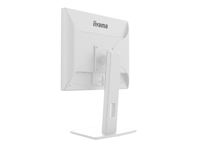 IIYAMA B1980D-W5, Monitore TFT Consumer- & Gaming IIYAMA  (BILD3)