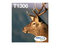EPSON 1LB Multipack 3-colours T1306