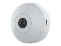 AXIS M3067-P - network surveillance camera - dome
