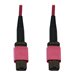 Eaton Tripp Lite Series 100G Multimode 50/125 OM4 Fiber Optic Cable (12F MTP/MPO-PC F/F), LSZH, Magenta, 3 m (9.8 ft.)