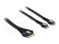 Delock Serial Attached SCSI (SAS) internt kabel Sort