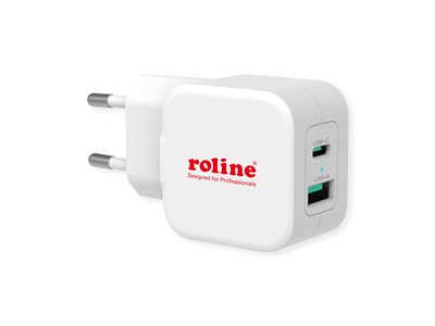 ROLINE USB Charger mit Euro-Stecker 2 Pt