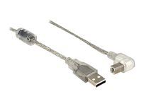 DeLOCK USB 2.0 USB-kabel 3m Transparent