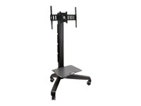 Ergotron Chariot HD 24-192-057