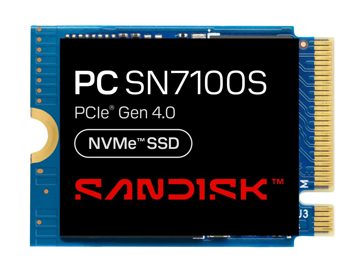 SanDisk PC SN7100S - SSD
