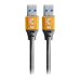 Comprehensive Pro AV/IT Specialist Series