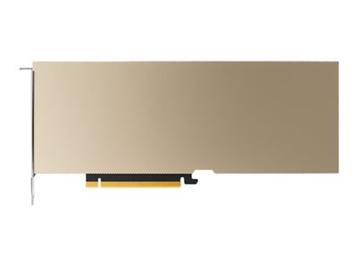 NVIDIA - GPU computing processor - A10 - 24 GB GDD