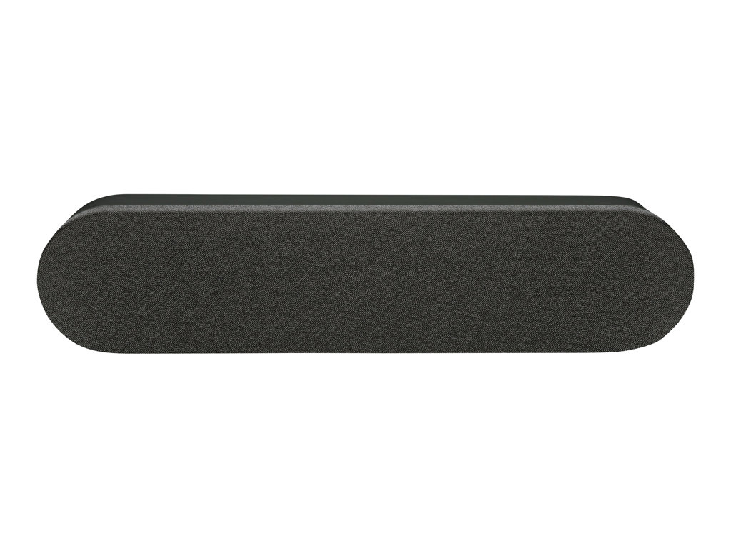 LOGI Rally Speaker GRAPHITE - ANALOG