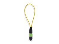 Startech loopback adapter - TAA Compliant - black and green