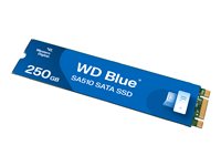 WD Blue SA510 Solid state-drev WDS250G3B0B 250GB M.2 SATA-600