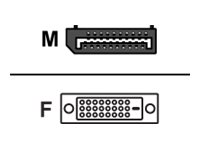 Sharkoon Adapter DisplayPort han -> DVI-D hun 15 cm Sort