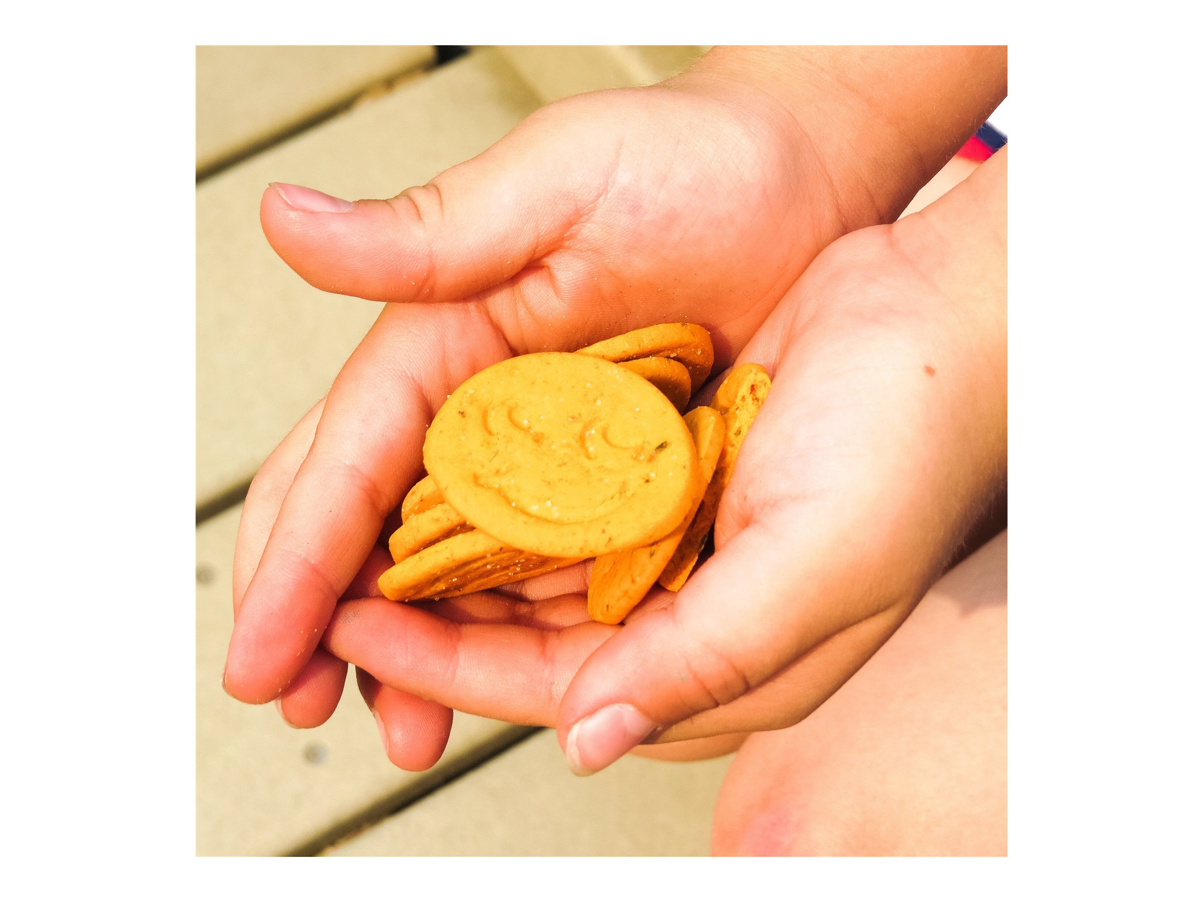 freeyumm pizza cracker bites