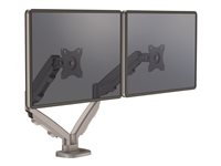 FELLOWES EPPADUAL ARGENT